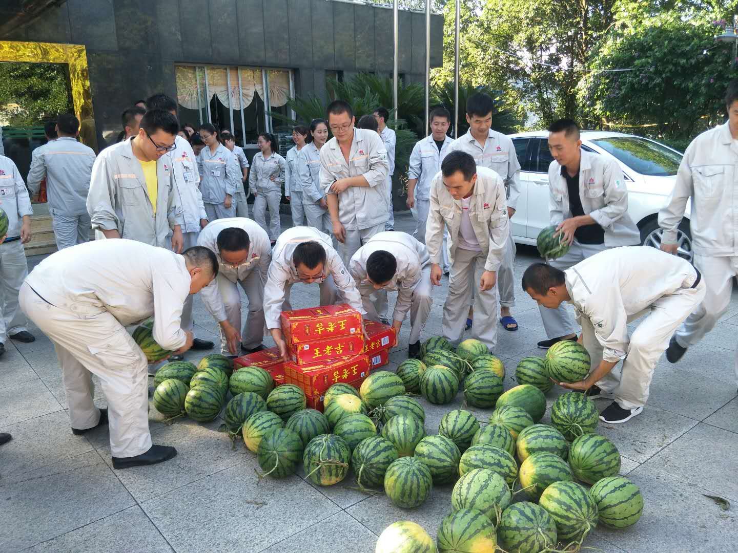 送清凉配图.jpg